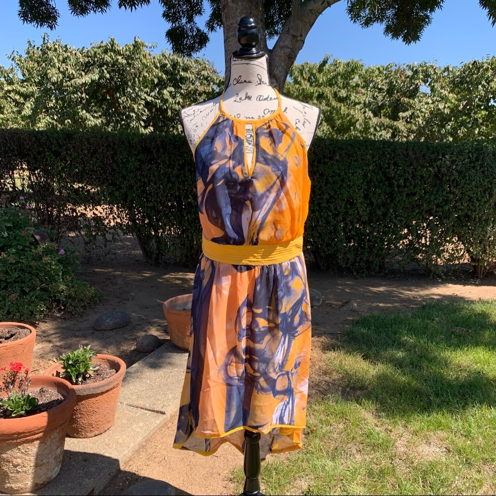 Dress 👗 by Walter Baker